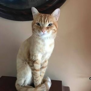 Meet your Posher, Helene